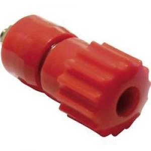 image of Pole terminal Red 16 A Schnepp