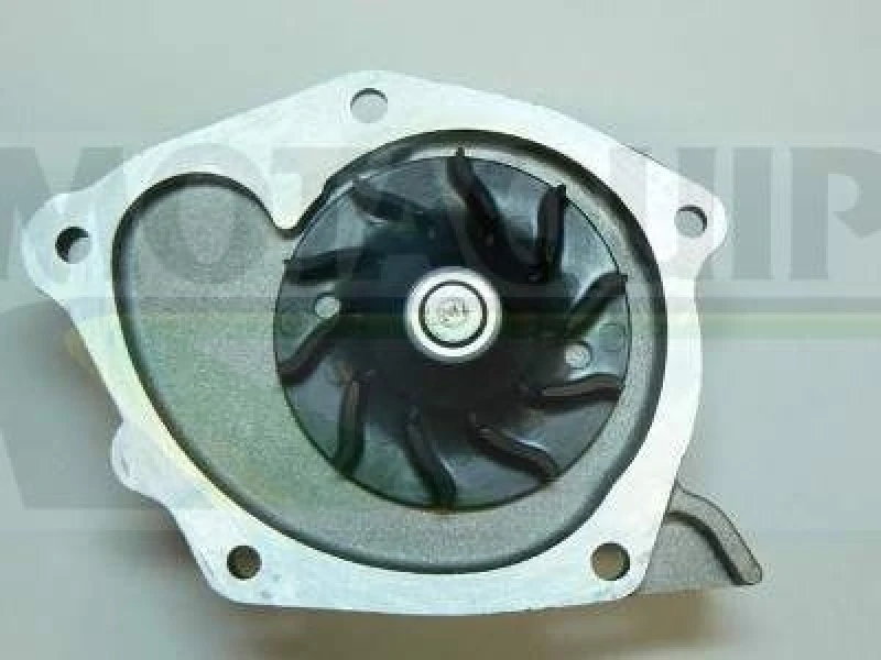 Image of MOTAQUIP Water pump MOTAQUIP VWP834