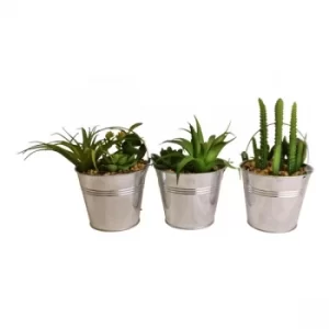 Image of Set of 3 Faux Succulents In Tin Buckets