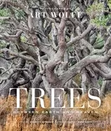 Image of trees between earth and heaven