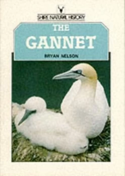 Image of The Gannet by Bryan Nelson Paperback