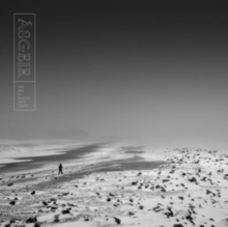 Image of The Sky Is Painted Gray Today Vinyl