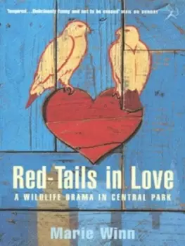 Image of Red-tails in love by Marie Winn