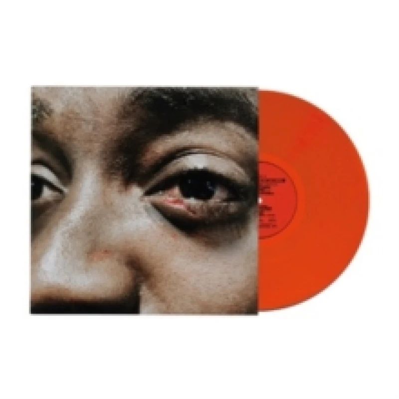 Image of The Village Is On Fire Vinyl