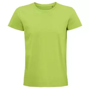 Image of SOLS Unisex Adult Pioneer Organic T-Shirt (XXL) (Apple Green)