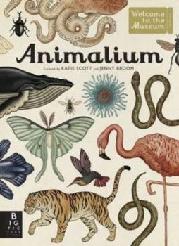 Image of Animalium by Jenny Broom Hardback