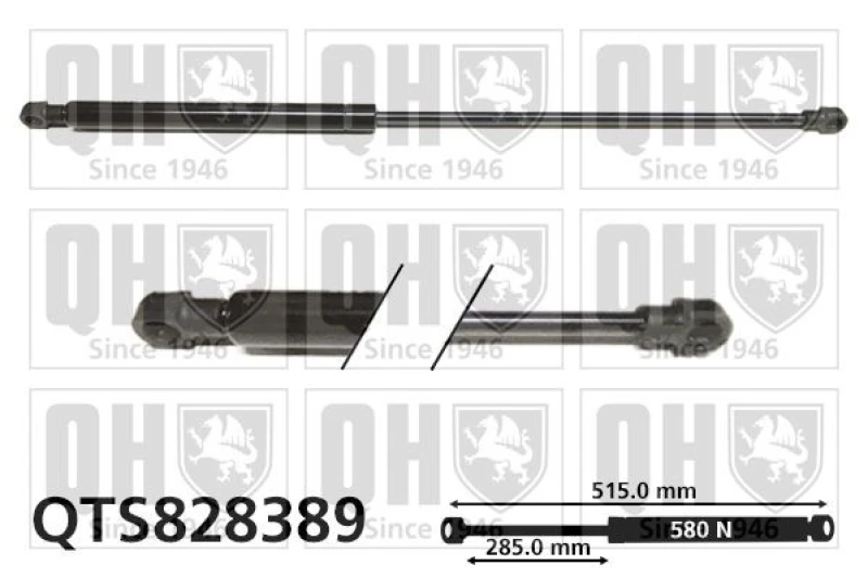 Image of QUINTON HAZELL Tailgate strut QUINTON HAZELL QTS828389