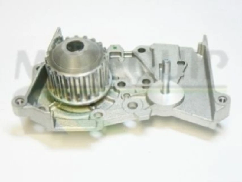Image of MOTAQUIP Water pump MOTAQUIP VWP807