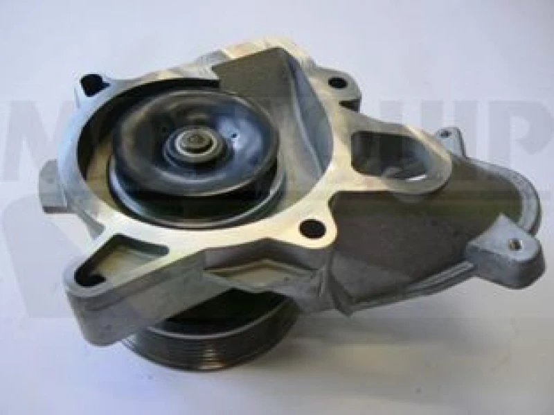 Image of MOTAQUIP Water pump MOTAQUIP VWP877
