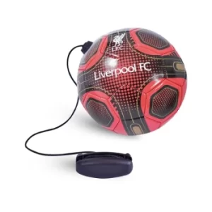 Image of Liverpool Skills Practice Ball Size 2