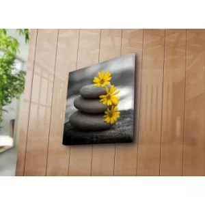 Image of 4545NAT-49 Multicolor Decorative Canvas Painting