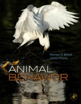 Image of Animal Behavior by Michael D Breed Paperback