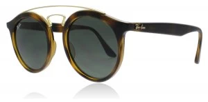 image of Ray-Ban 4256 Sunglasses Tortoise / Gold 710-71 49mm