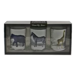 Image of Set of 3 Tropical Safari Votive Candles