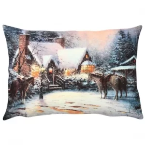 Image of A50903 Multicolor Cushion