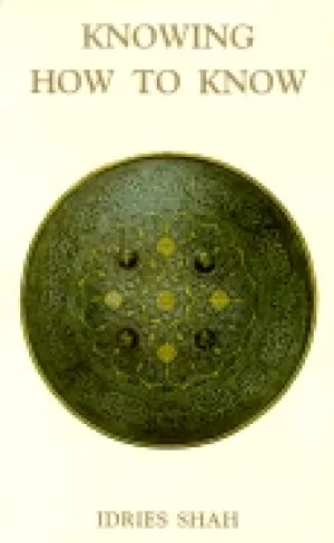 Image of knowing how to know a practical philosophy in the sufi tradition
