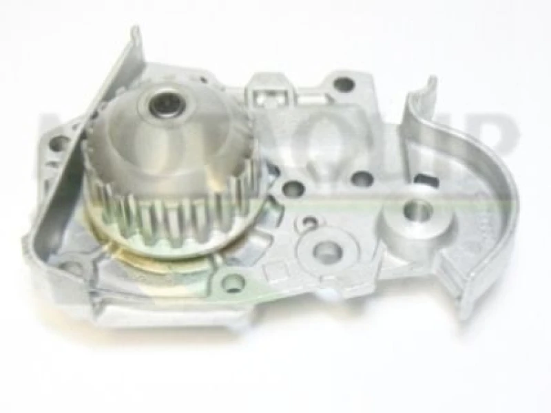 Image of MOTAQUIP Water pump MOTAQUIP VWP741