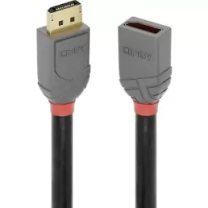 Image of LINDY DisplayPort Cable extension DisplayPort plug, DisplayPort socket 1m Anthracite, Black, Red 36496 gold plated connectors DisplayPort cable
