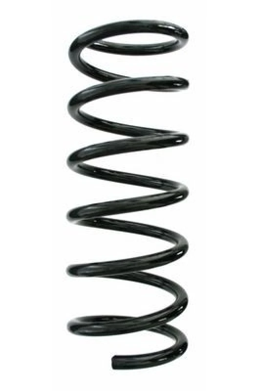 Image of Coil spring SPIDAN 87531