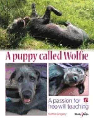 Image of puppy called wolfie a passion for free will teaching
