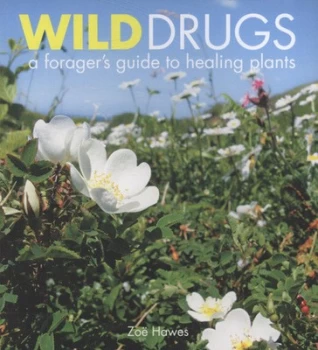 Image of Wild Drugs by Zoe Hawes Paperback