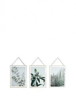Image of Arthouse Set 3 Botanical Framed Prints