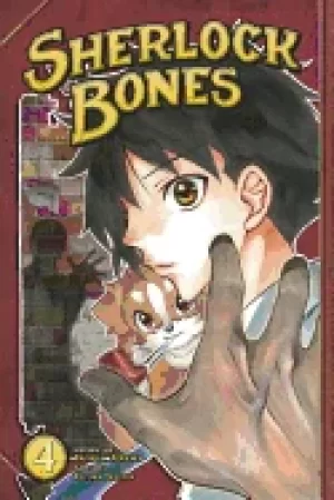 Image of sherlock bones 4