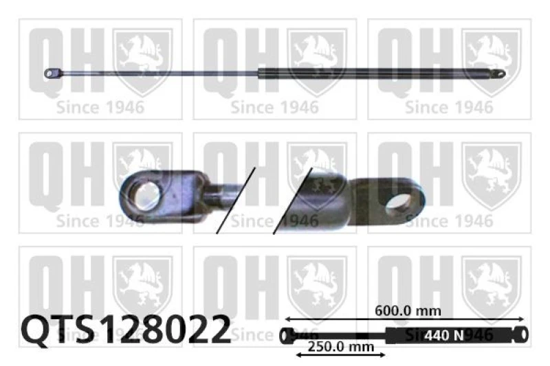 Image of QUINTON HAZELL Tailgate strut QUINTON HAZELL QTS128022