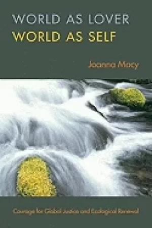 Image of world as lover world as self courage for global justice and ecological rene