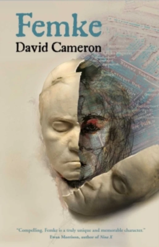 Image of Femke Hardback