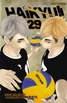 Image of Haikyu!!, Vol. 29