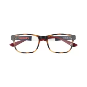Image of Superdry Kabu 108 Glasses