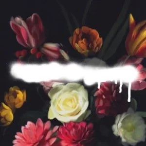 Image of Built On Schemes by Grande Roses Vinyl Album