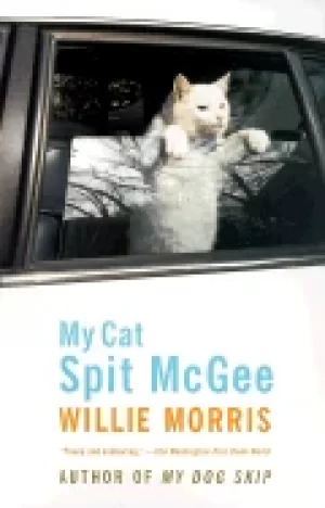 Image of my cat spit mcgee