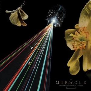 image of The Strife of Love in a Dream by Miracle CD Album