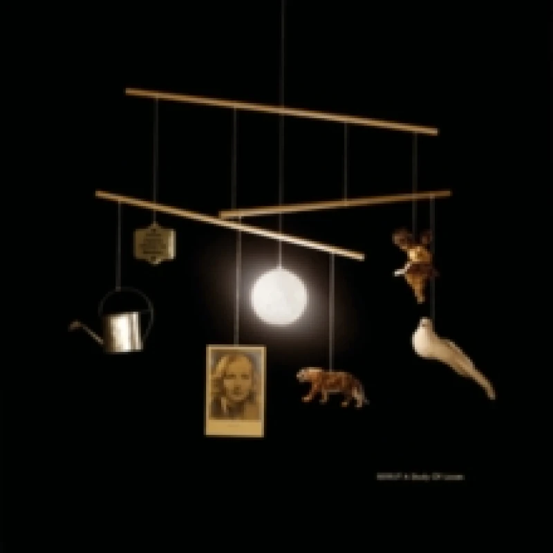 Image of A Study of Losses CD / Album