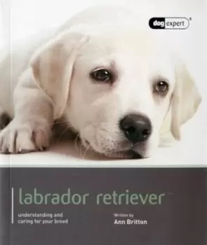 Image of Labrador Retriever - Ann Britton - Paperback - Used