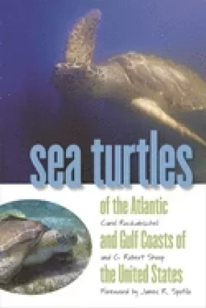 Image of sea turtles of the atlantic and gulf coasts of the united states