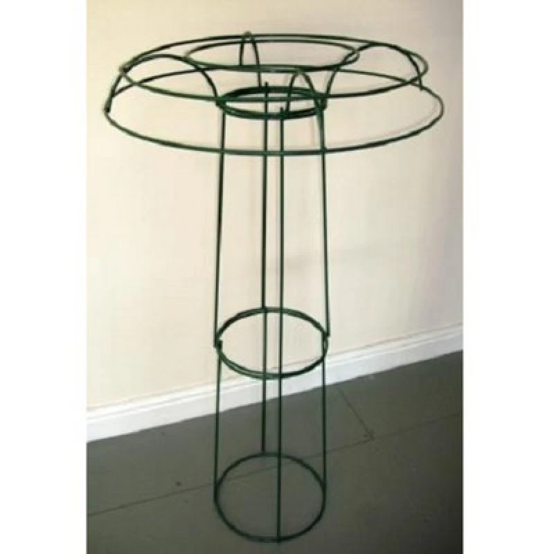 Image of Poppy Forge Medium Tuteur Plant Border Support - Steel - L61 X W61 X H122cm - Green