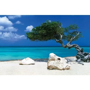 Image of Tom Mackie Divi Divi Tree Poster