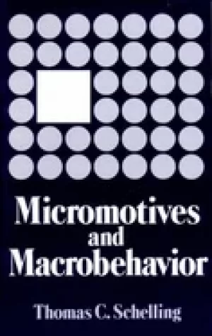 Image of micromotives and macrobehavior