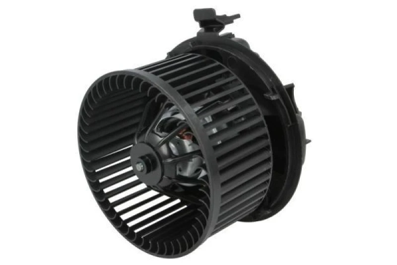 Image of THERMOTEC Blower motor THERMOTEC DDR030TT