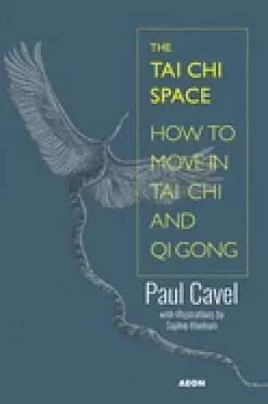Image of tai chi space how to move in tai chi and qi gong