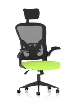 Image of Ace Executive Bespoke Fabric Seat Myrrh Green Mesh Chair With Folding Arms