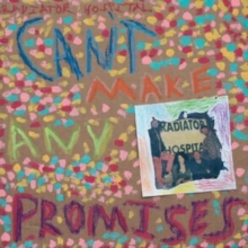 Image of Can't make any promises Vinyl