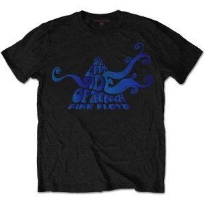 Image of Pink Floyd - DSOTM Swirl Unisex Large T-Shirt - Black