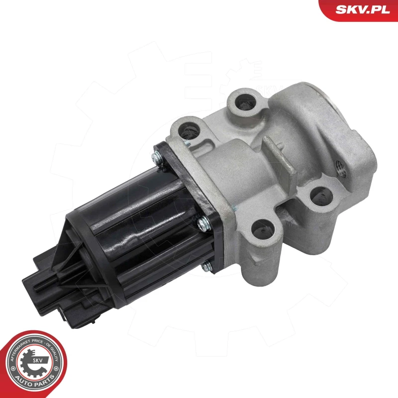 Image of ESEN SKV EGR valve ESEN SKV 14SKV300