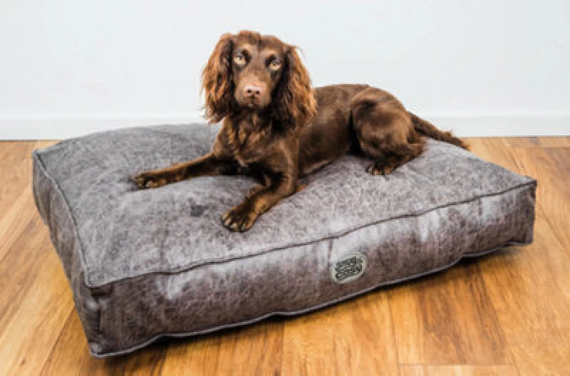 Image of Snug & Cosy Pets The Snug And Cosy Rhodeo Lounger 90Cm X 60Cm