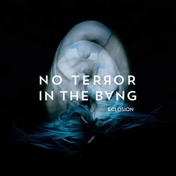 Image of No Terror In The Bang - Eclosion CD