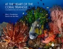 Image of At the Heart of the Coral Triangle : Celebrating Biodiversity